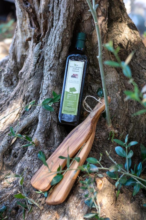 Agriturismo Colle Vento 수베레토 외부 사진