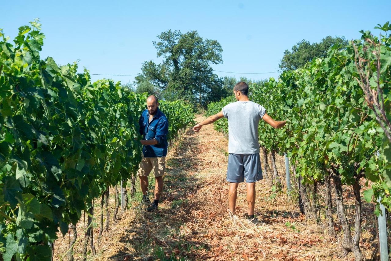 Agriturismo Colle Vento 수베레토 외부 사진