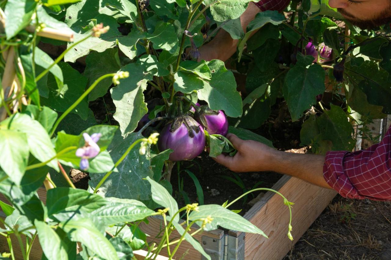 Agriturismo Colle Vento 수베레토 외부 사진