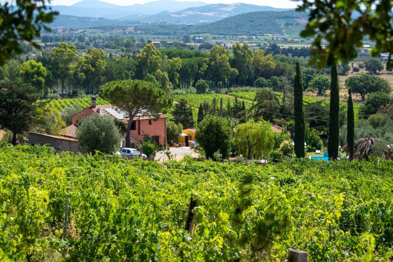 Agriturismo Colle Vento 수베레토 외부 사진