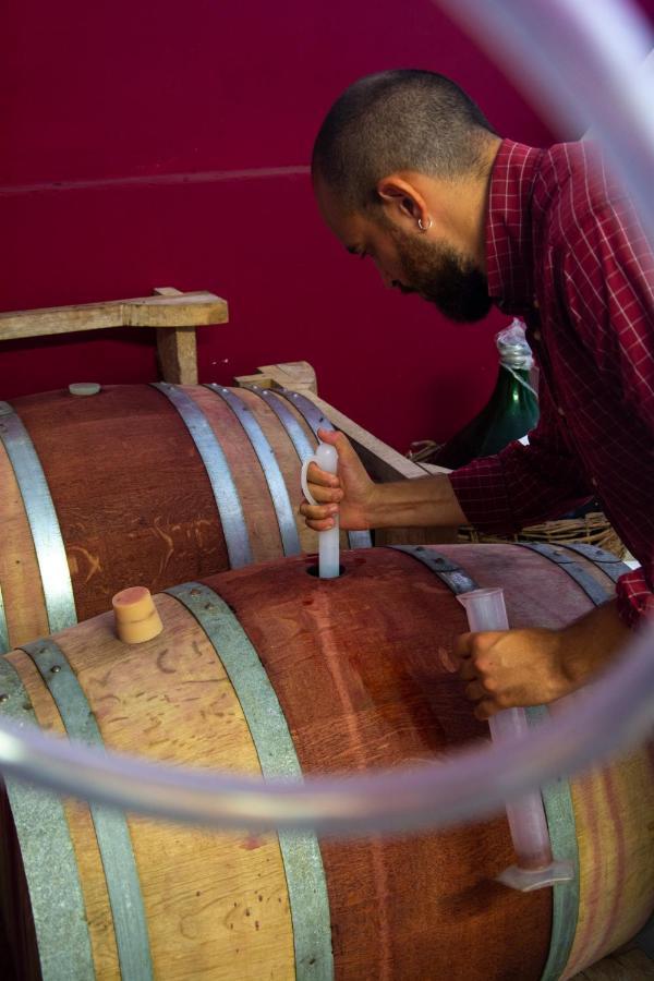 Agriturismo Colle Vento 수베레토 외부 사진
