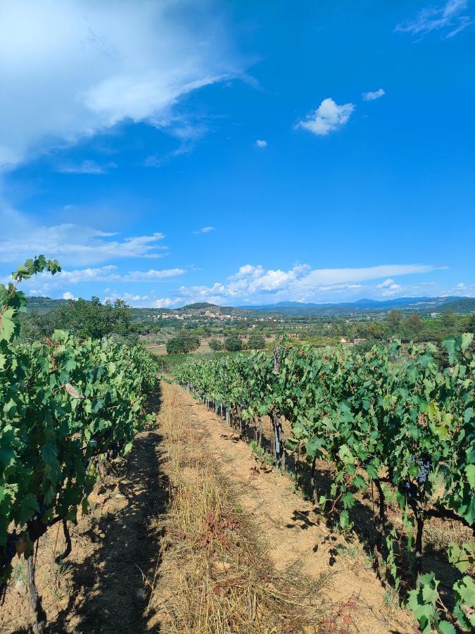 Agriturismo Colle Vento 수베레토 외부 사진