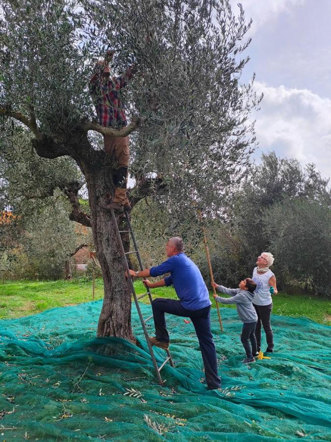 Agriturismo Colle Vento 수베레토 외부 사진
