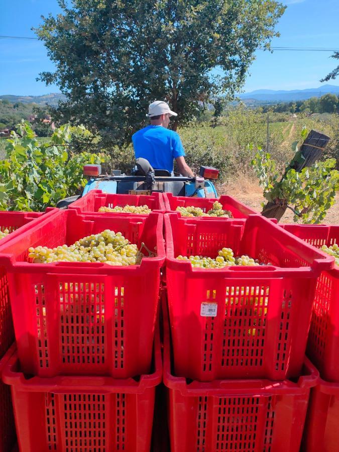 Agriturismo Colle Vento 수베레토 외부 사진